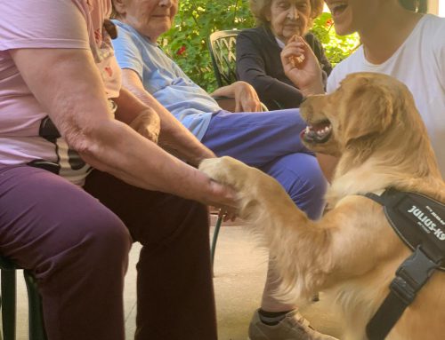 Alla Residenza Quisisana Modigliana sboccia la Pet Therapy: coccole a quattro zampe per gli anziani